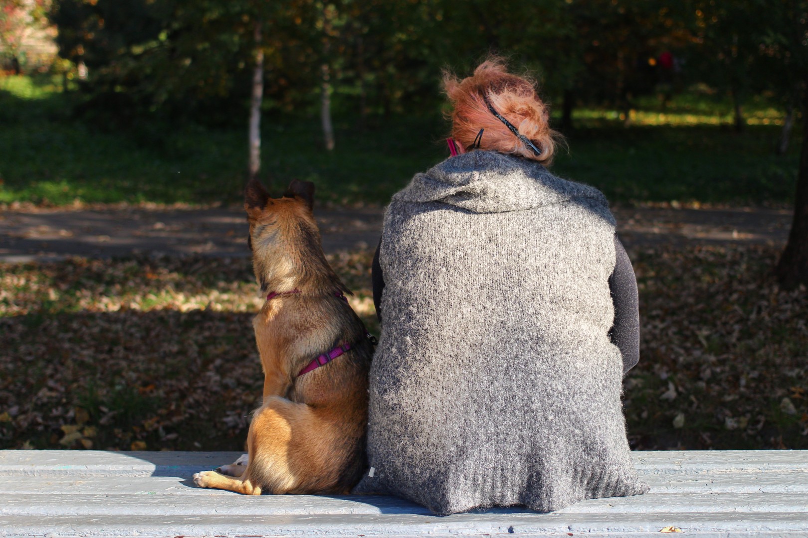 vecteezy-a-woman-is-sitting-with-a-dog-as-a-symbol-of-abandonment-72710157
