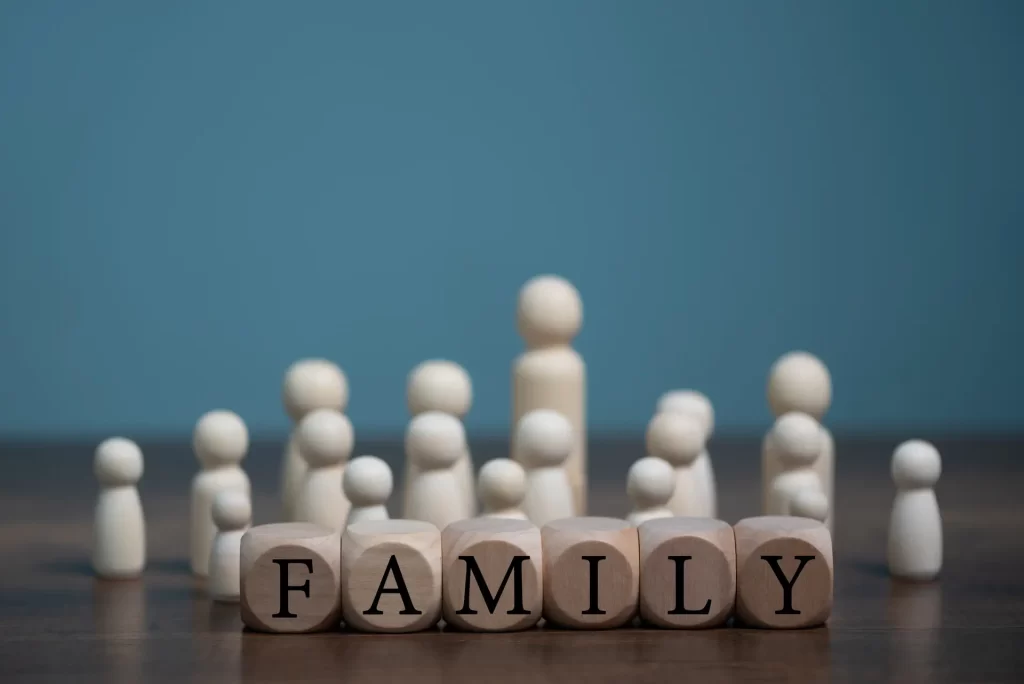 familie opstelling systemischwerk pvb zorg